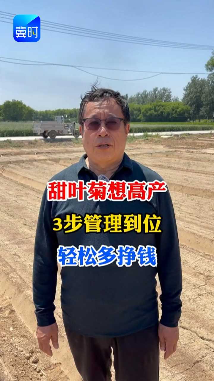 【专家在线】甜叶菊想高产！三步管理到位，轻松多挣钱