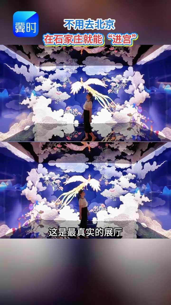 免费！故宫来石家庄了，我先冲了 #在这里看见故宫 #河北博物院 #看展 #沉浸式体验