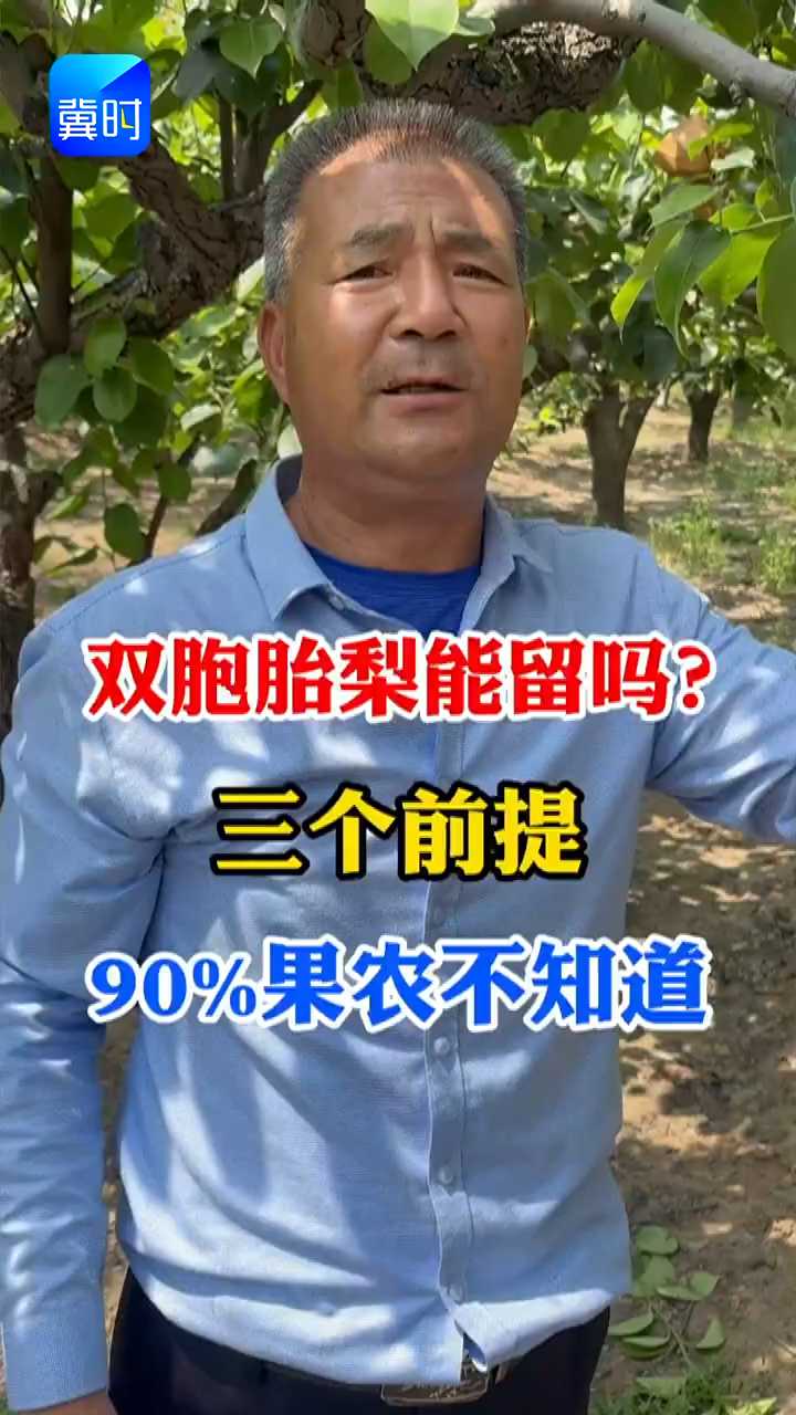 【专家在线】双胞胎梨能留吗？三个前提，90%果农不知道