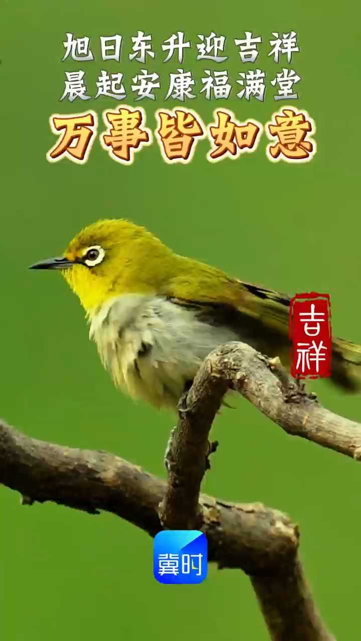 早安丨带上好心情，向快乐出发！