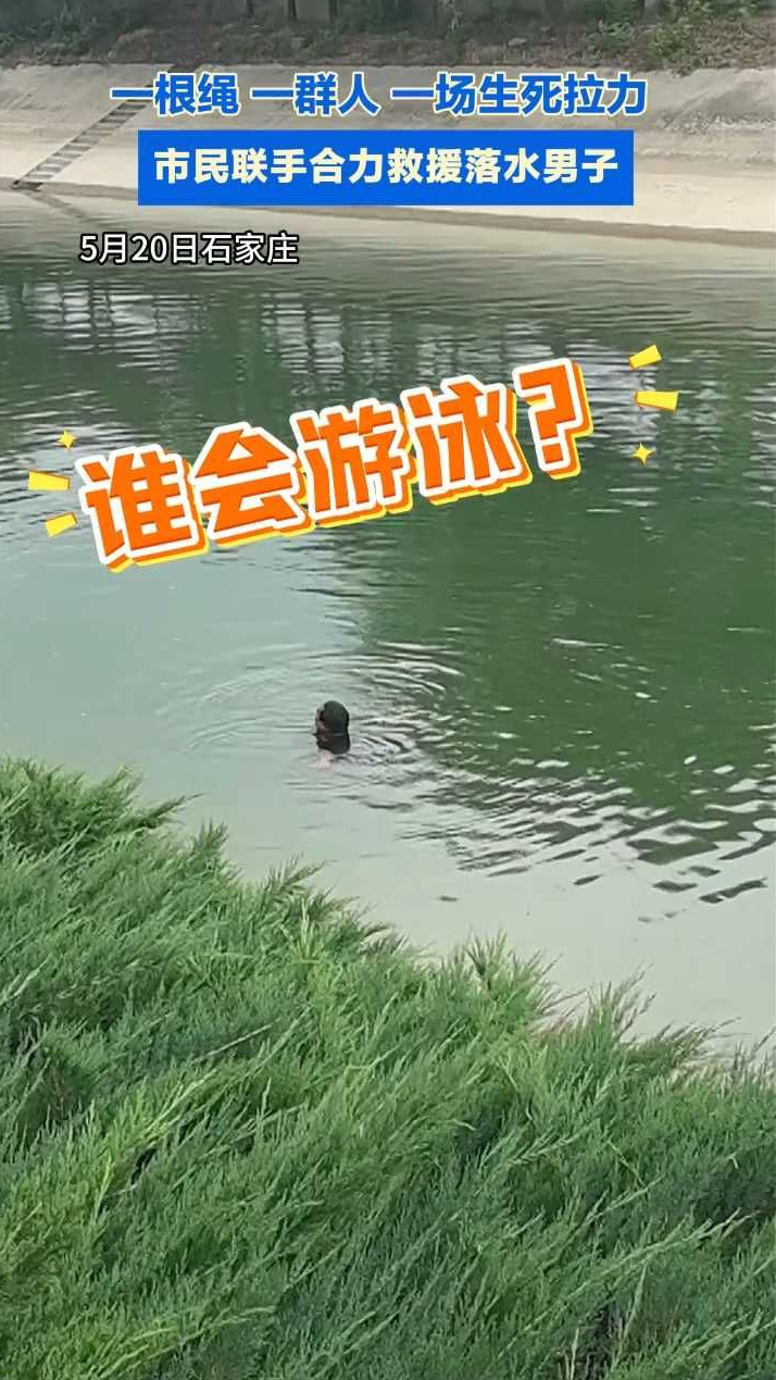 险！男子河边看鱼落水  暖！众人合力生死救援 #石家庄 #凡人善举