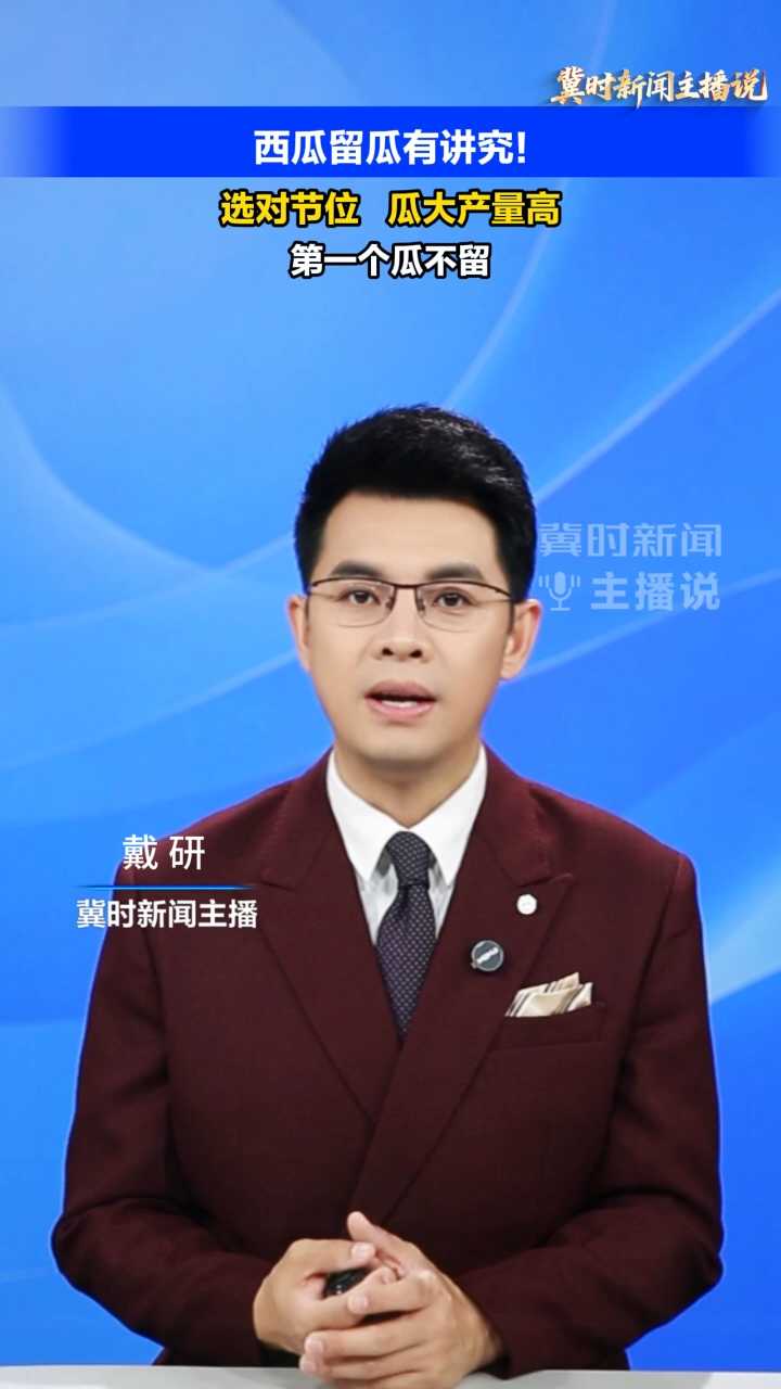 【冀时新闻主播说】西瓜留瓜有讲究！选对节位，瓜大产量高
