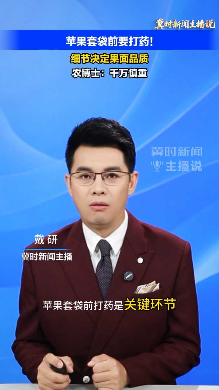 【冀时新闻主播说】苹果套袋前要打药！细节决定果面品质