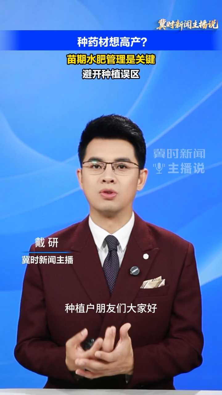 【冀时新闻主播说】种药材想高产？苗期水肥管理是关键