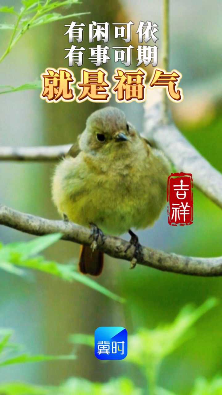 早安丨有闲可依，有事可期，就是福气！
