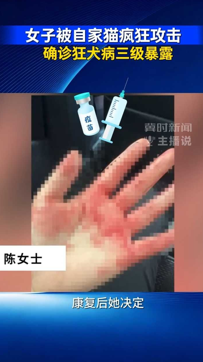 女子被自家猫疯狂攻击 确诊狂犬病三级暴露｜冀时新闻主播说