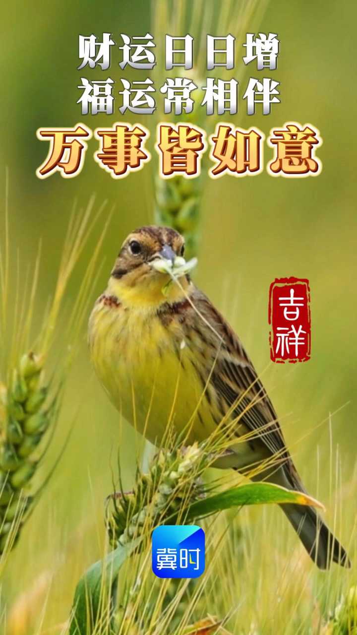 早安丨时运日日增 福运常相伴