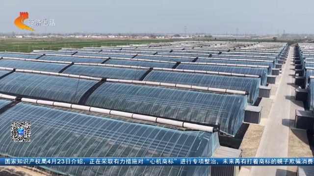 经济新观察20260426