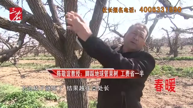 农博士在行动20260330