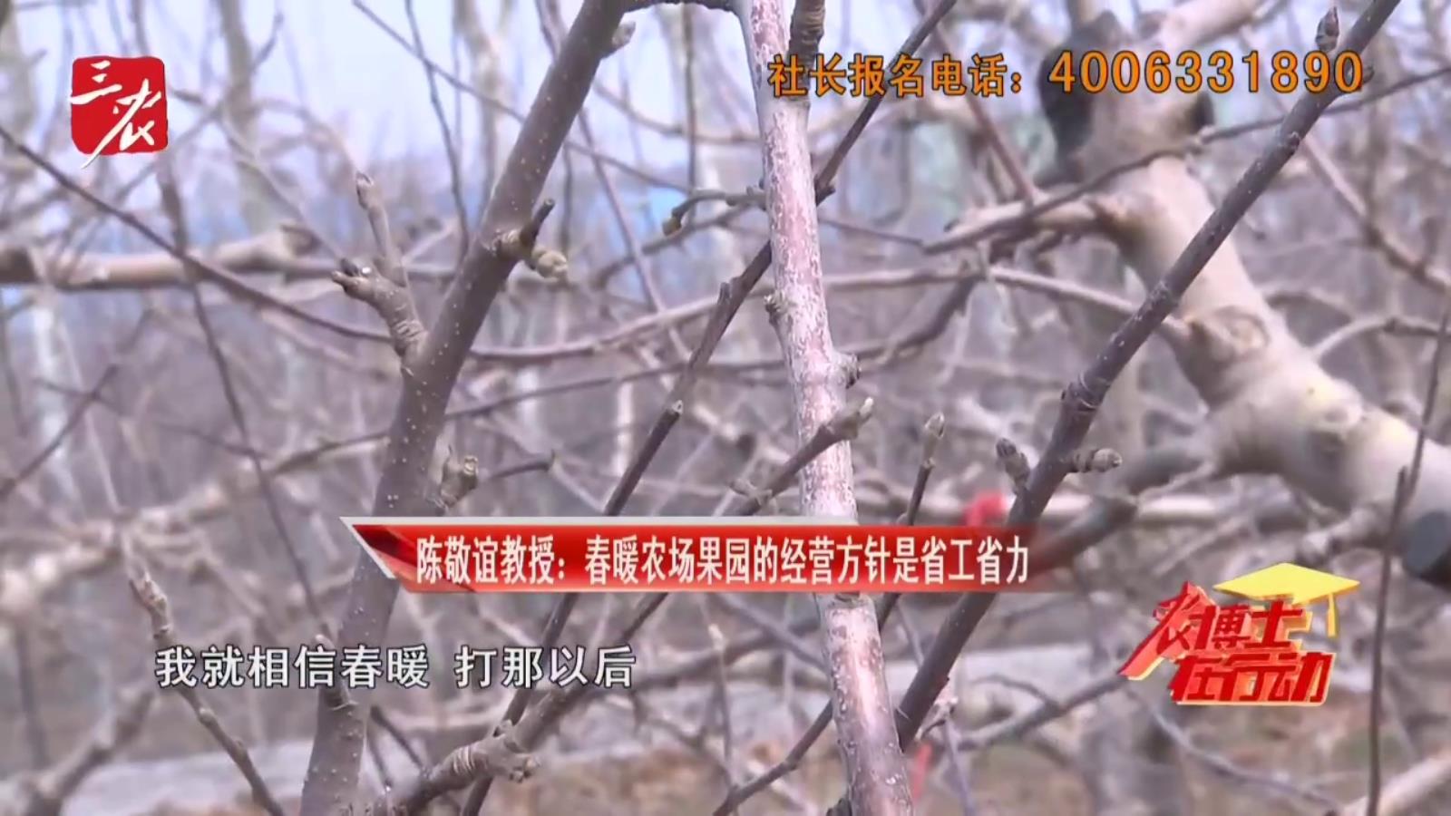 农博士在行动20260401