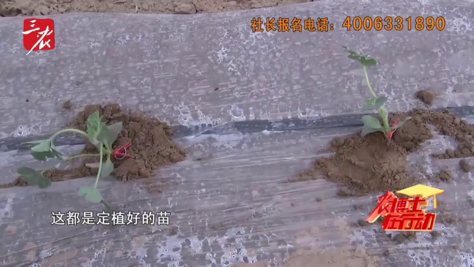 农博士在行动20260403